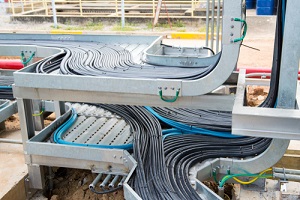 cables and instrument cables in the trays