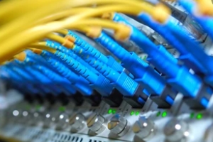 multiple optical cables in network switch