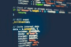 Software Patching in Process- Screen with Code